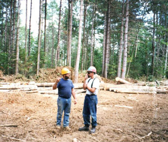 Logger and forester collaborate on a timber harvest